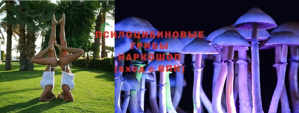 ешки Зеленокумск