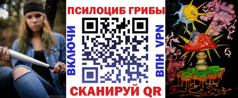 Псилоцибиновые грибы мухоморы  Купить закладки  Зуевка 