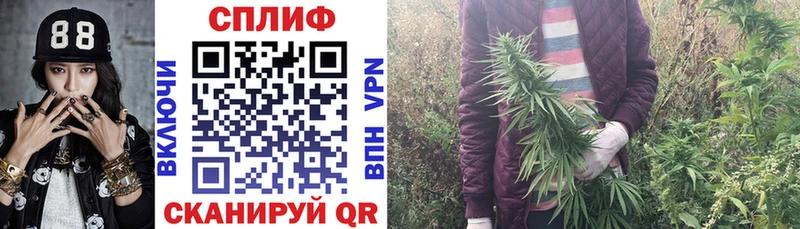 Купить  Зуевка  Марихуана ГИДРОПОН 